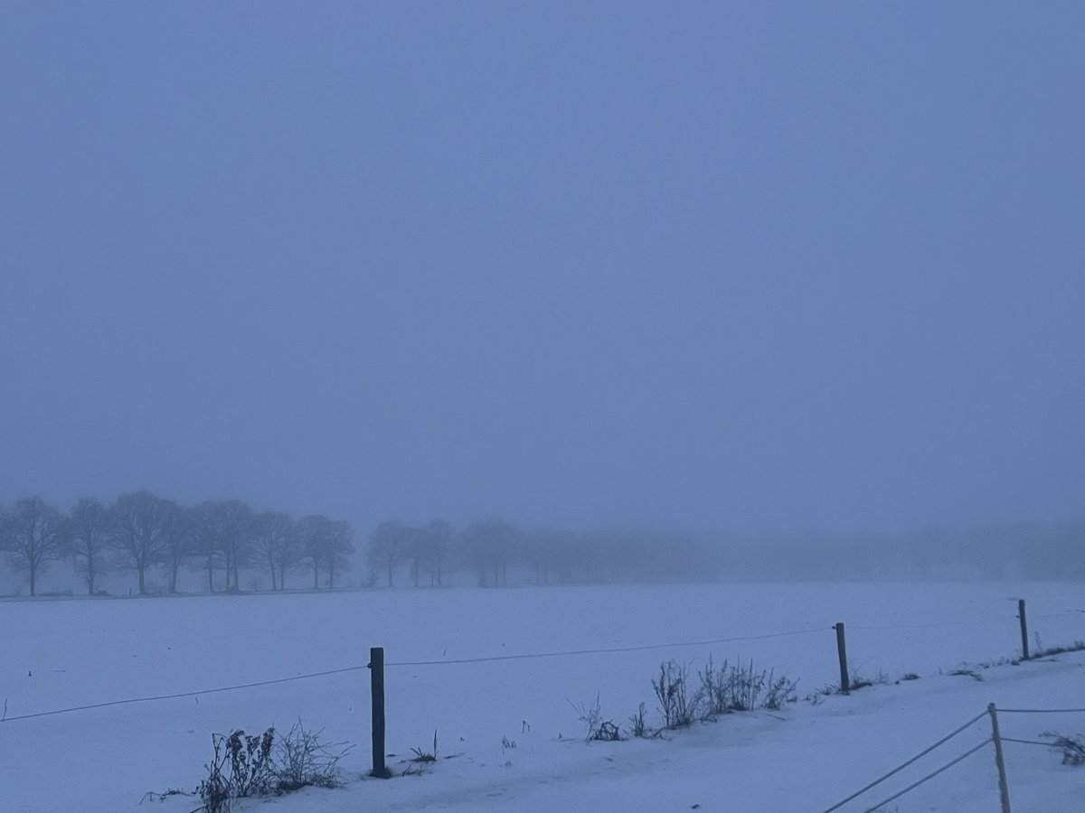 kleinkraakie's tweet photo. Beetje #heiig buiten https://t.co/UsTDtg0CoT