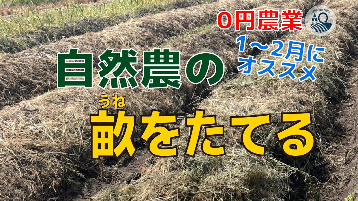 0_0nou's tweet photo. YouTubeに新しい動画をアップしました。是非ご覧ください。
よろしければ高評価ボタン、チャンネル登録をお願いいたします😄

【#44】自然農の畑で畝を立てる
https://t.co/1bKu7sQQlT

#自然農
#畝立て
#0円農業 
#家庭菜園 
#プランター栽培  
#再生栽培 
#鳥取 https://t.co/G1wtAGZPLS