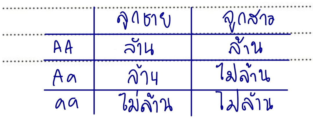Jaesonmai's tweet photo. @thisistumcial https://t.co/EsZsVnx40f