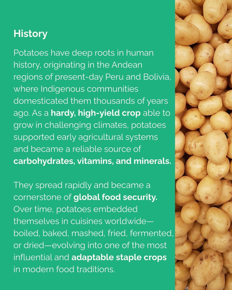 Turning Green tweet media