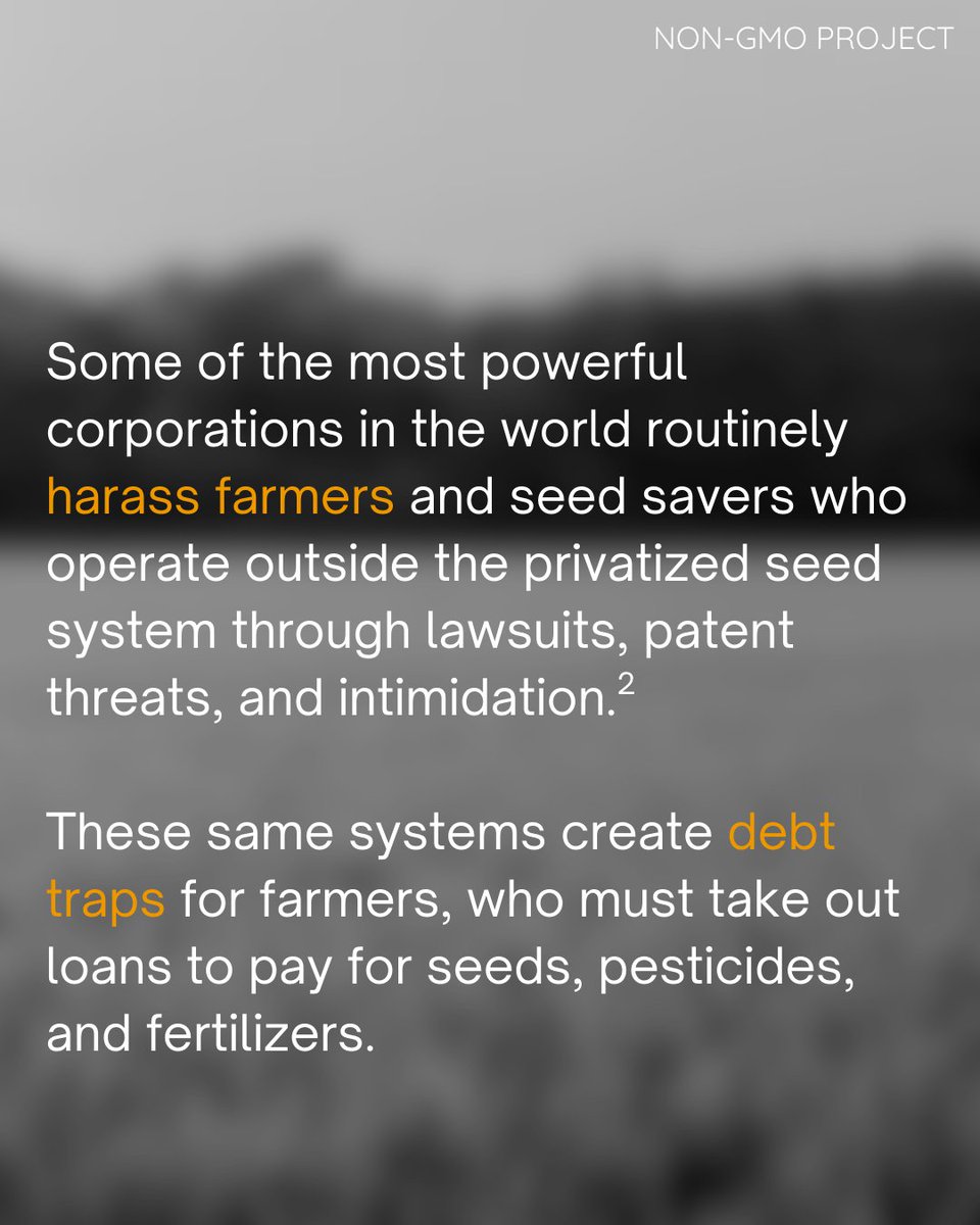 Non-GMO Project tweet media