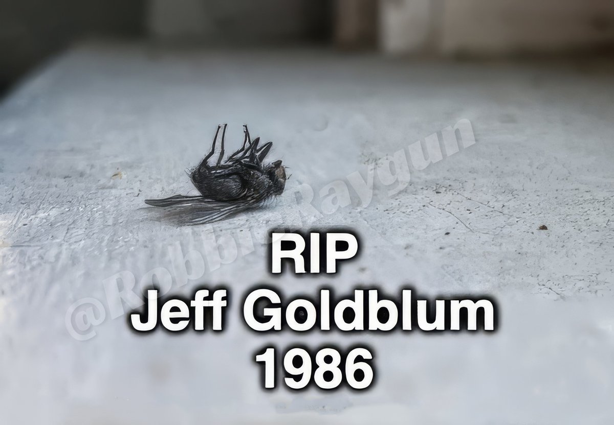 RobbieRaygun's tweet photo. "I'm an insect who dreamt he was a man and loved it".
#meme #TheFly #Brundlefly #DrSethBrundle #Teleportation #fly #insect #horror #horrorfilm #NotReallyDead https://t.co/0vLueDFg2i