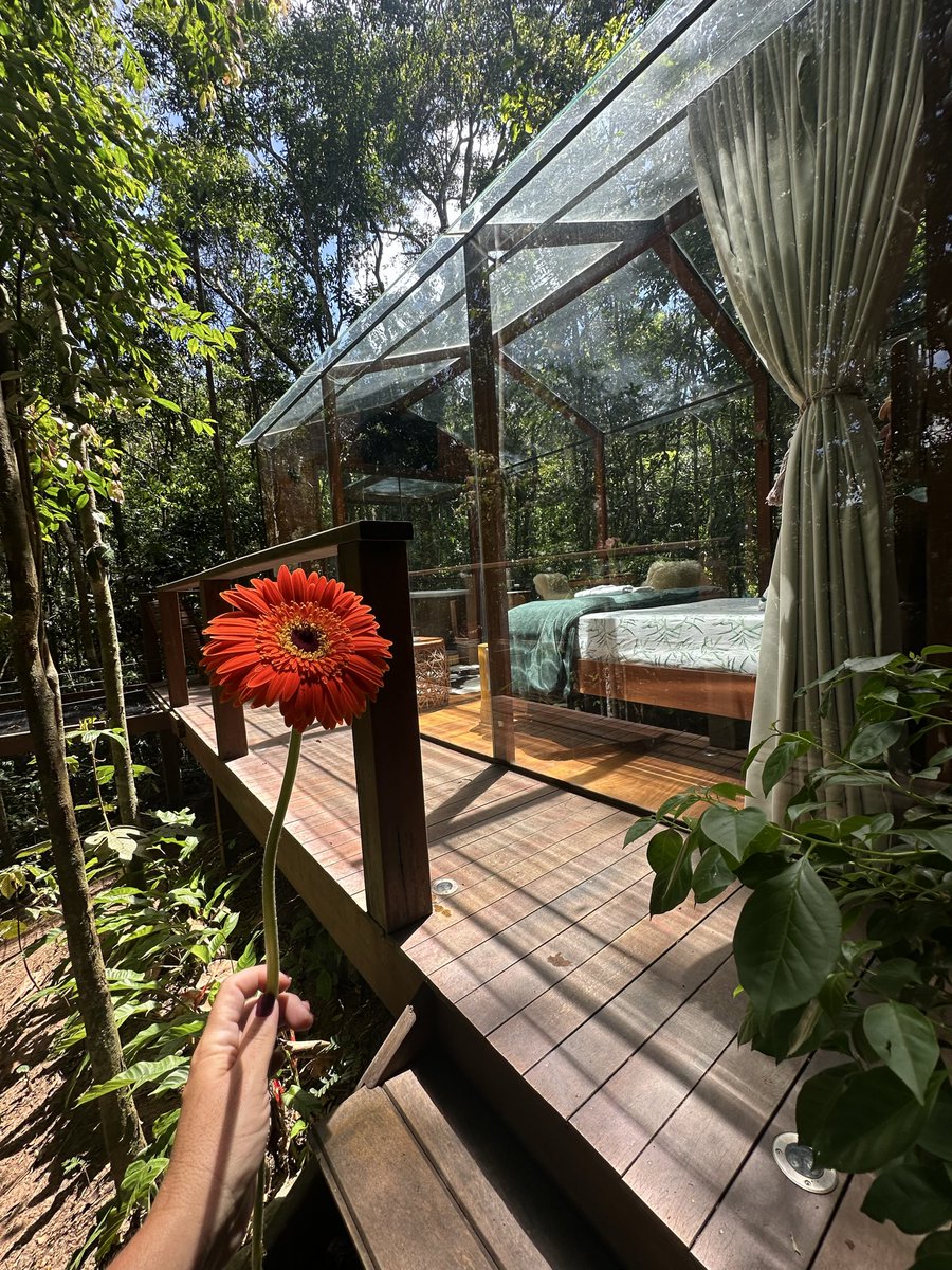 VForestale's tweet photo. Venha Conhecer o Villaggio Forestale, mais que uma acomodação, uma experiência! Primeira Casa de Vidro do Espírito Santo, fica em Santa Teresa! Ha 1:30h da Capital! https://t.co/eVuwvrlRPC https://t.co/d9Jvr8Tg9h