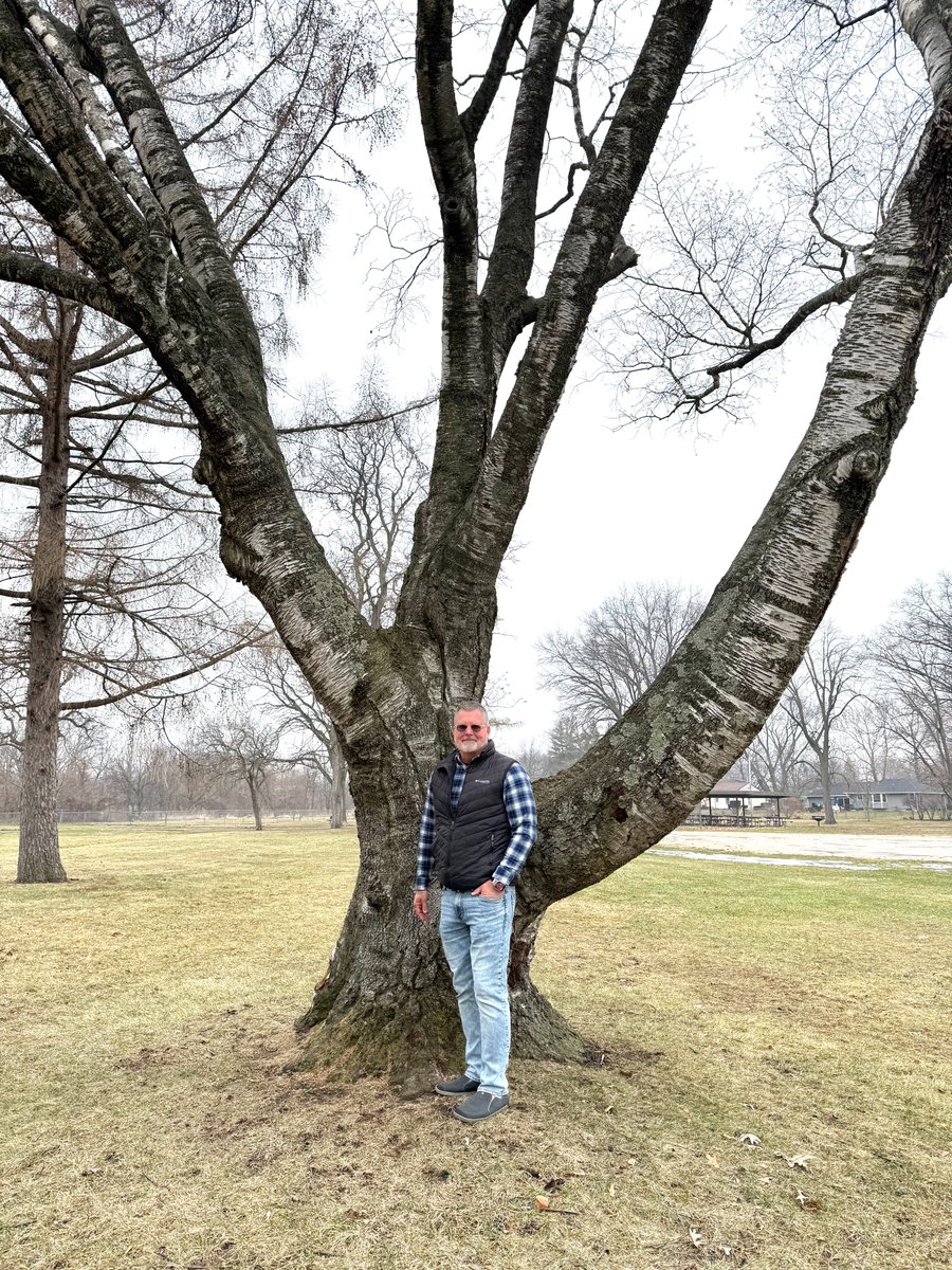 The January Tree is a real Champion! Officially, a Paper Birch at Dahlquist Park is the IL State Champion (biggest of its kind). Thank you to Dan Erwin (pictured here) at Rockford Park District for nominating it. See more photos and read all about it at: naturalland.org/state-champion…