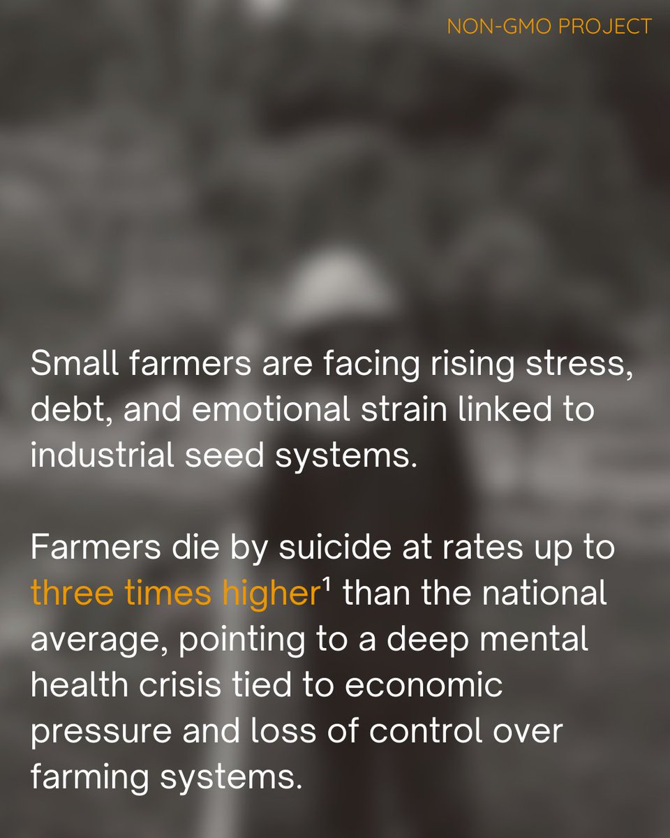 Non-GMO Project tweet media