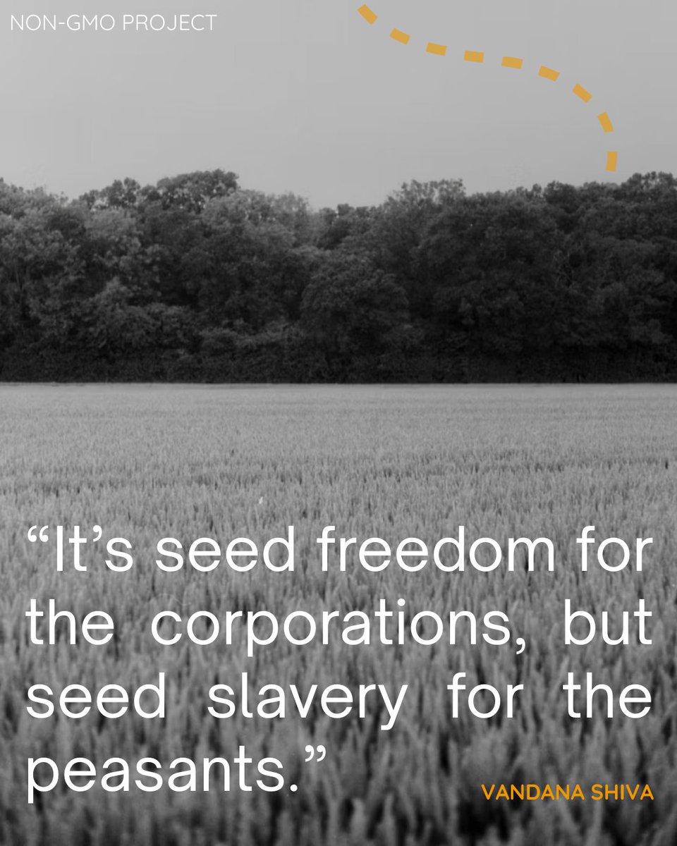 Non-GMO Project tweet media