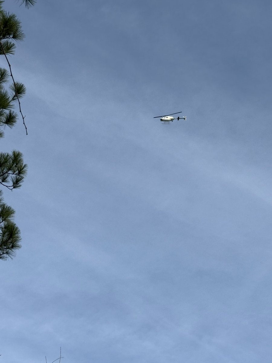 Mike Valente tweet media