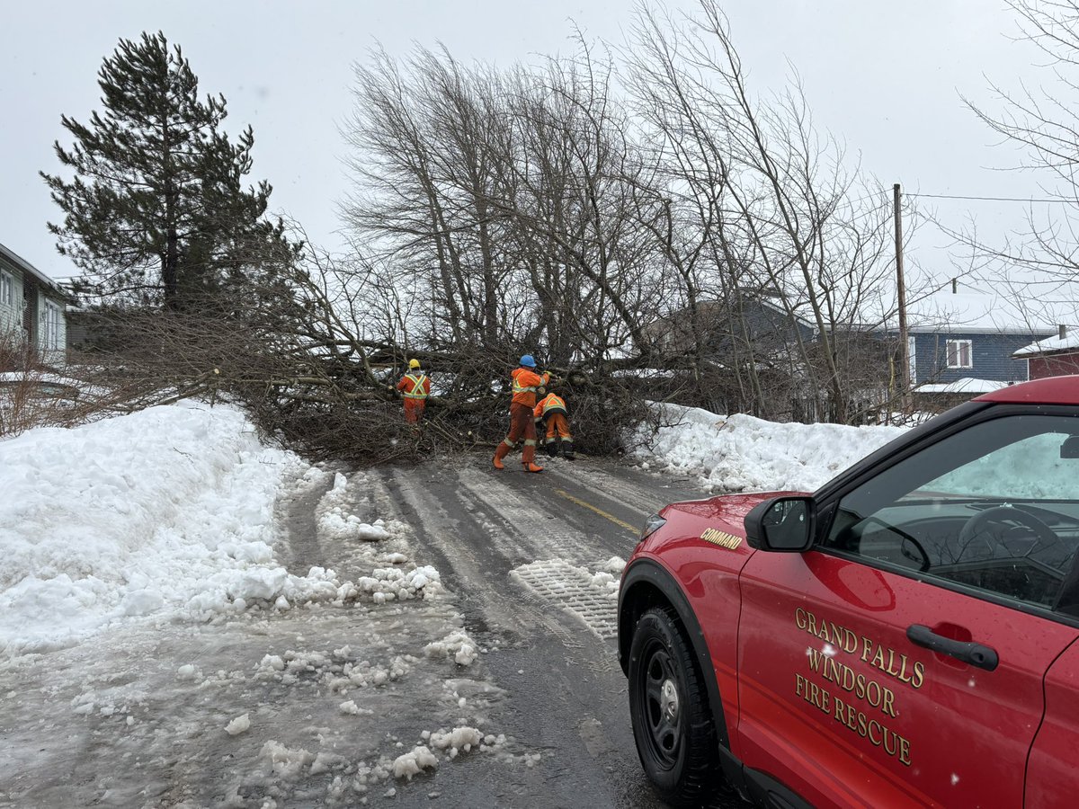 FirechiefVince's tweet photo. High winds from today’s storm have taken down a large tree across Bond Street in @towngfw.  Silviculture crew on scene and road should be opened within an hour. Exercise caution when out and about in today’s high winds. https://t.co/VlZTvQQfQZ