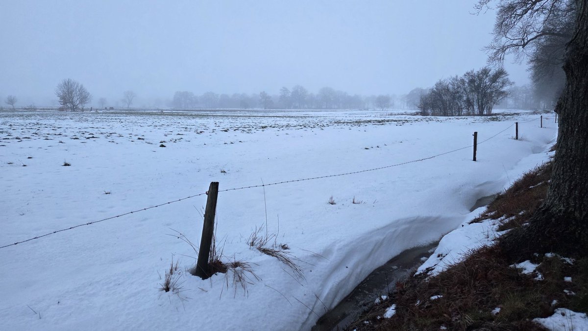 WVisser1978's tweet photo. Dooimist boven de smeltende #sneeuw #Eelde https://t.co/fFF3I8Akkn