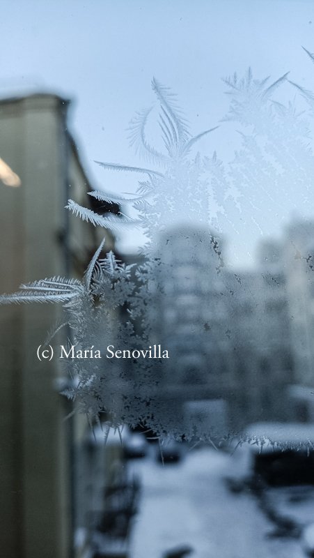 MariaSenovilla's tweet photo. Así se dibuja en los cristales de las ventanas el frío extremo que está haciendo ahora mismo en Kyiv, dónde los bombardeos rusos dejaron sin calefacción a millones de personas

Con temperaturas que van a caer hasta los -18 grados, esto es un crimen de guerra. Otro más

#Ucrania https://t.co/ADUHMmmrkI