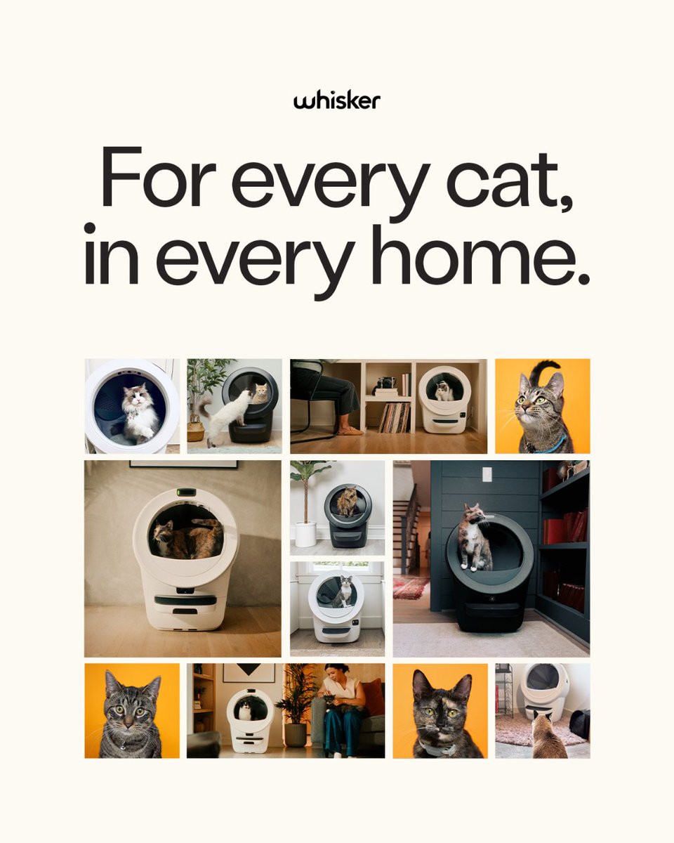 Litter_Robot's tweet photo. Every cat. Every home.
Different spaces. Different lives.
One less thing to think about.
#LitterRobot #Whisker #AutomaticLitterBox #SelfCleaningLitterBox https://t.co/l843Y6zKqY