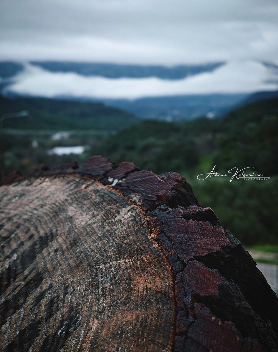 ath_kats's tweet photo. 🚗⛈️❤️ @Manav1s 

#photography #nature #WINTER #roadTrip #RainyDays #Greece https://t.co/lho1ly3Zfe