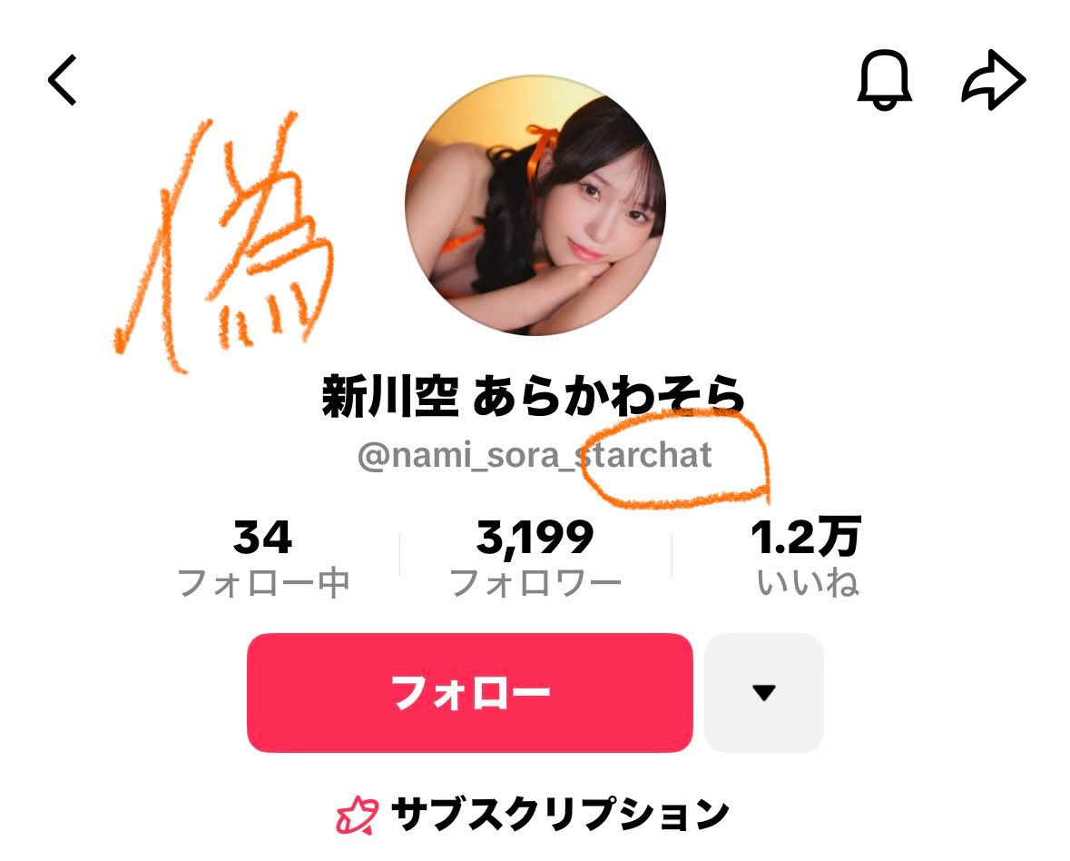 お騒がせしているTikTokの偽垢ですが、私はブロックされているようなのでこちらからなりすましの報告ができない&amp;リンクが貼れないので、検索して報告していただけると本当にありがたいです。
どの項目でも一つ一つの報告が大切です🥲