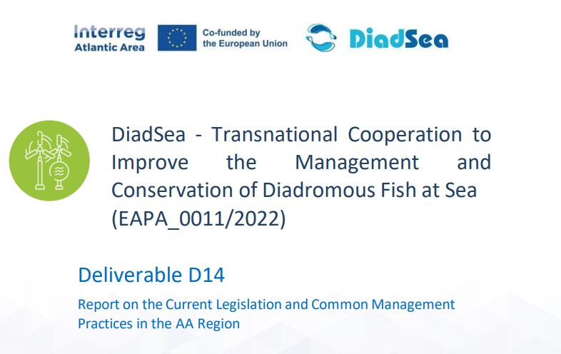 DiadSea's tweet photo. 📝 New report released on current legislation and common management practices for #diadromousfish in the #AtlanticArea. Download this and other resources at 🔗https://t.co/TmDxjRUlxK
Funded by @AtlanticArea. Endorsed by @UNOceanDecade. #migratoryfish #interreg #oceandecade https://t.co/Tl62WAa3tP