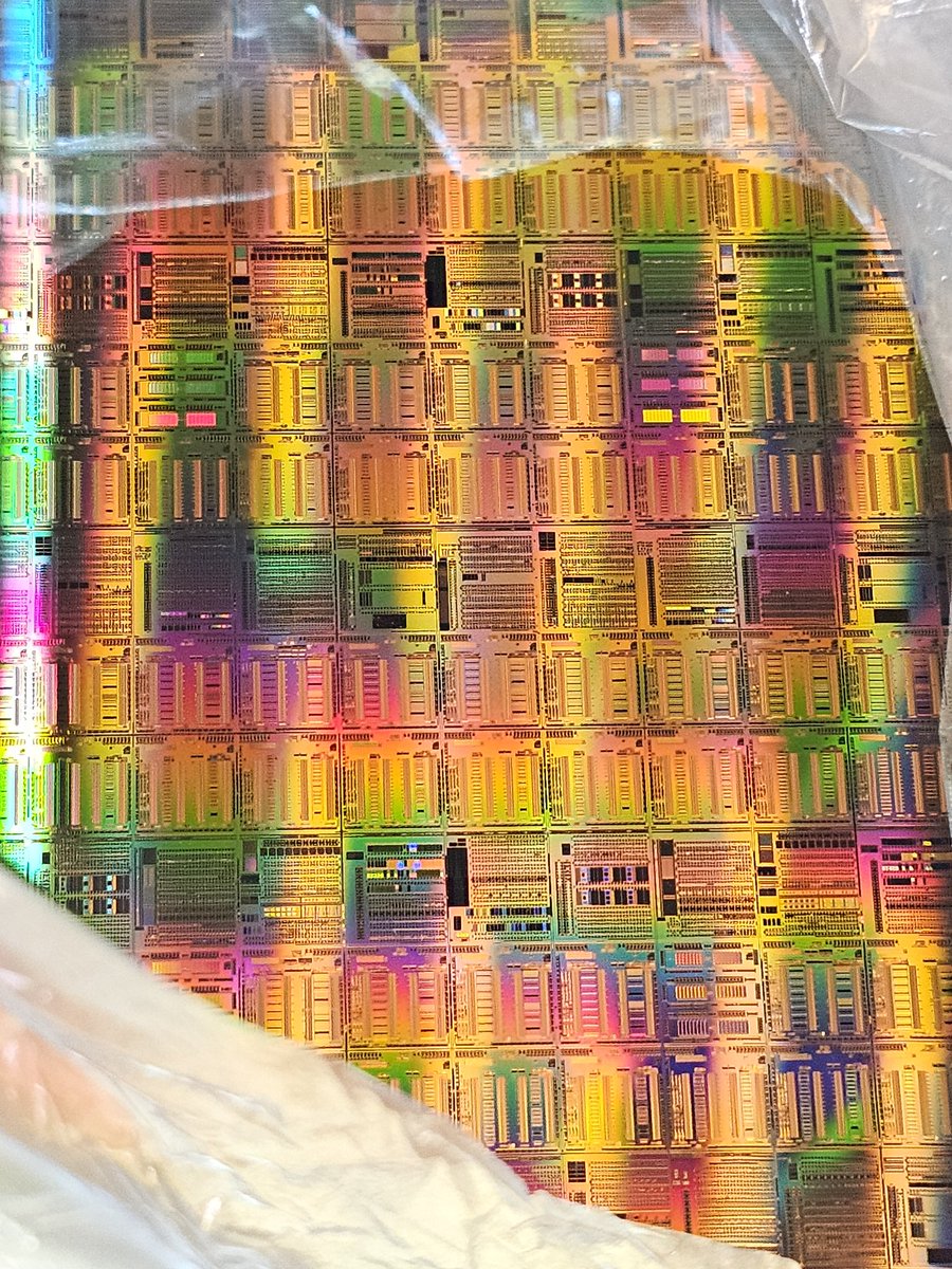 DragonPlayer tweet media