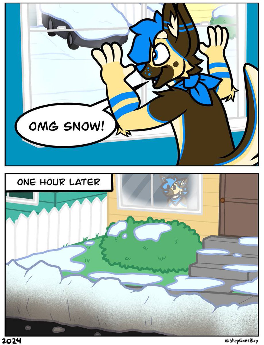 Shep🖌🐾 tweet media