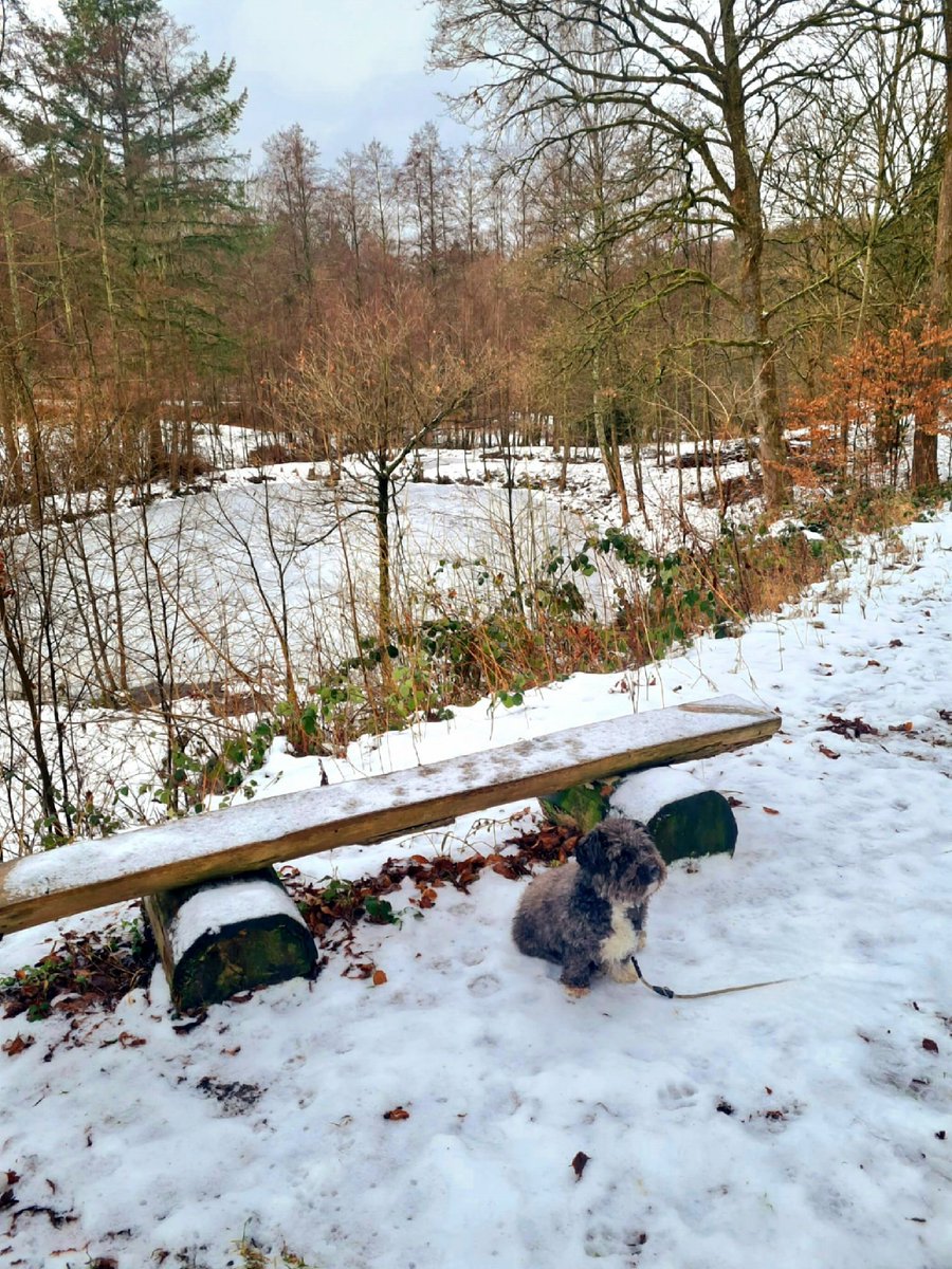 Für das bißchen Schnee hätten wir nicht ins Sauerland fahren müßen