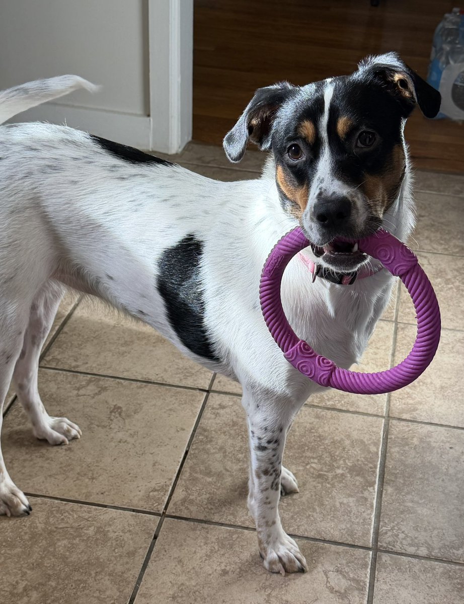 CrystalSeth's tweet image. Wild child