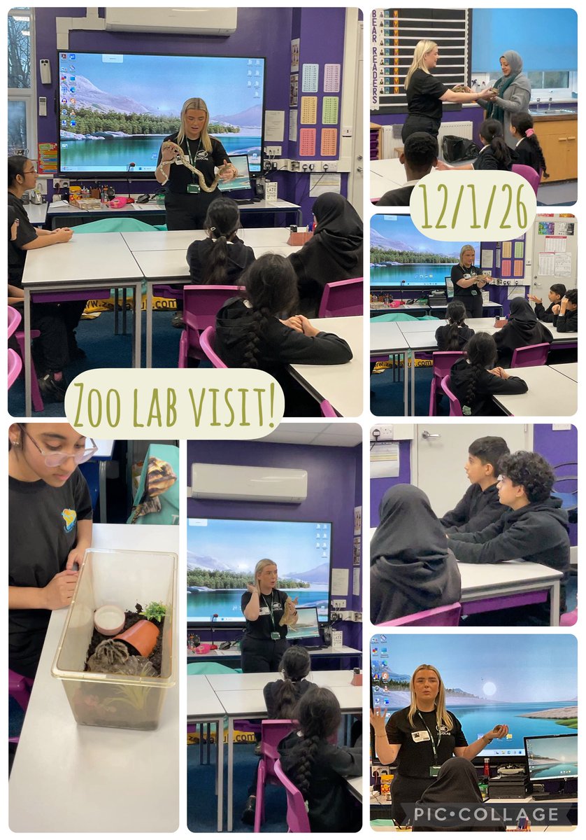 MarshfieldPS's tweet image. A huge thank you to @zoolab for their visit! The children were blown away by the experience! #CarltonEdge #MPSScience