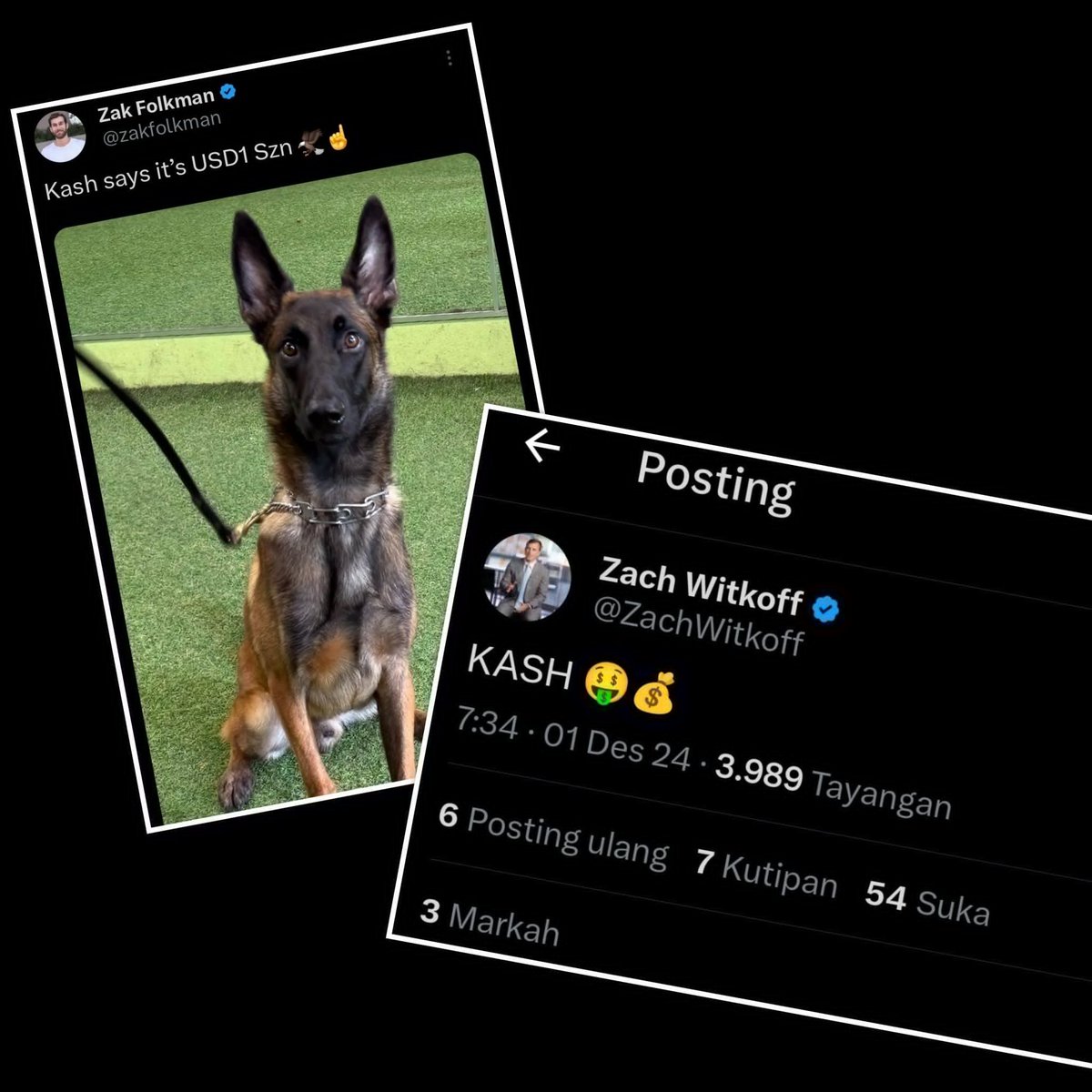 Summer_venom's tweet image. The #Second Round Ticker is : $KASH 

2EVJnSEVzvZAMvKKDXWwwVUFr4nJDMU9S9HBiVSyQHBt

it is Official Dog of USD1    1M soon   Ath Soon 
@ZachWitkoff