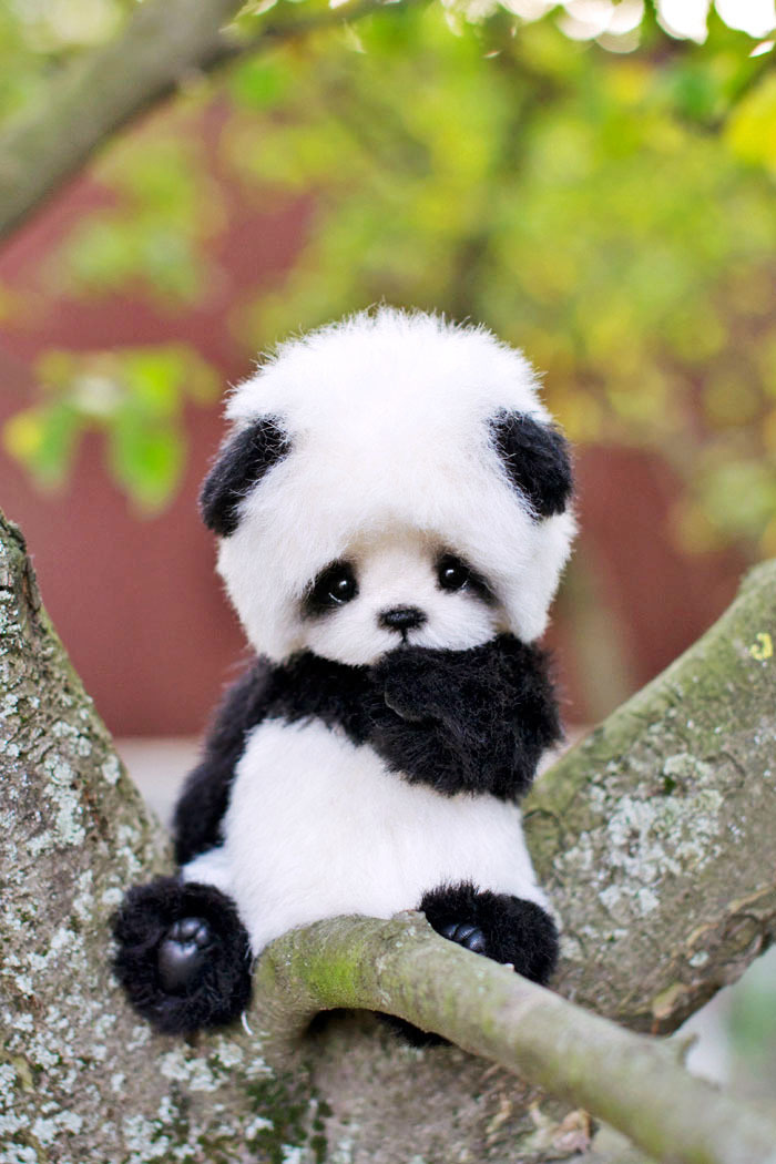 Να και εμείς μαζευόμαστε σιγά σιγά στο λεκανοπέδιο κάπου βόρεια.