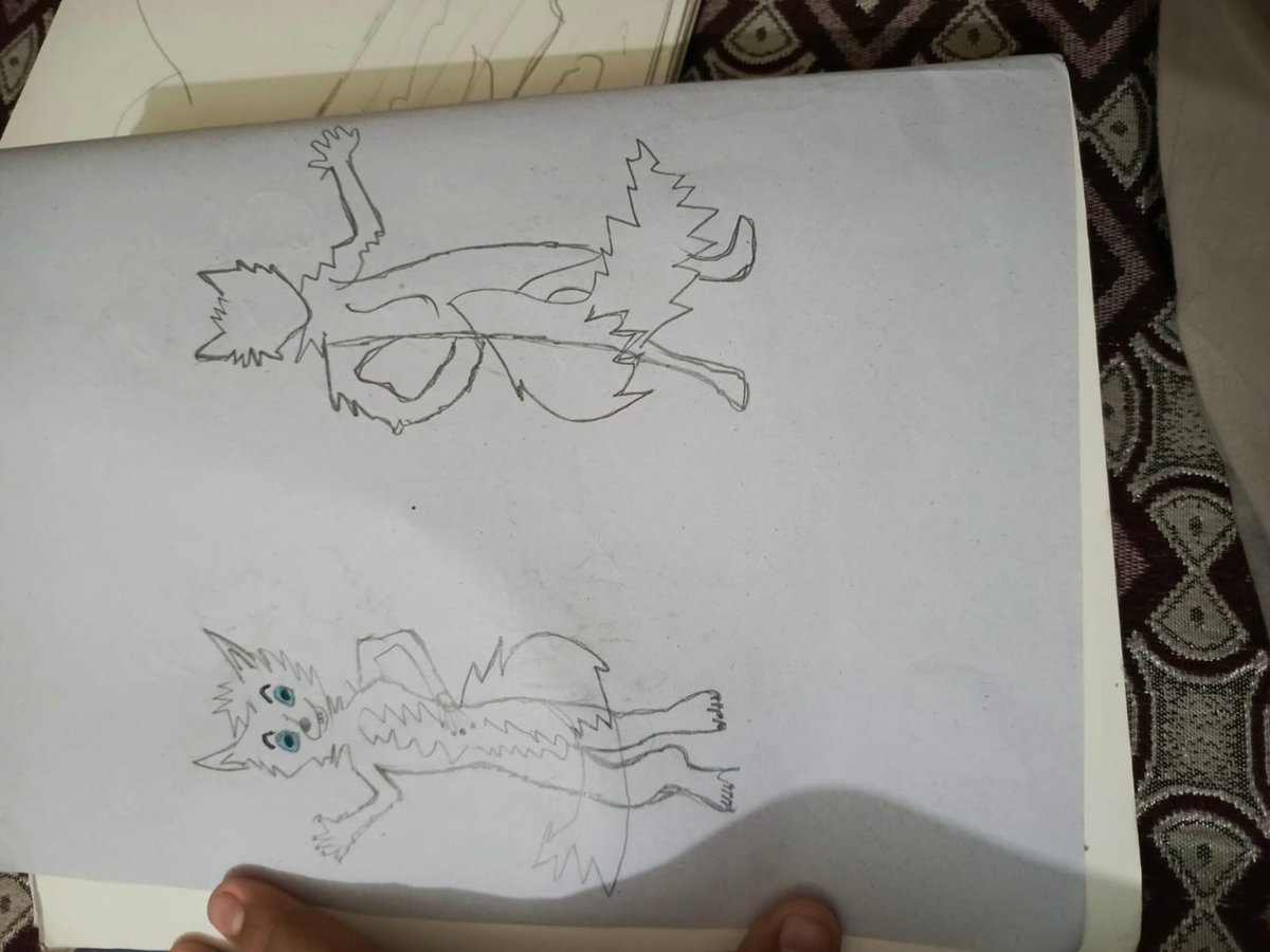 This is are the reference of character