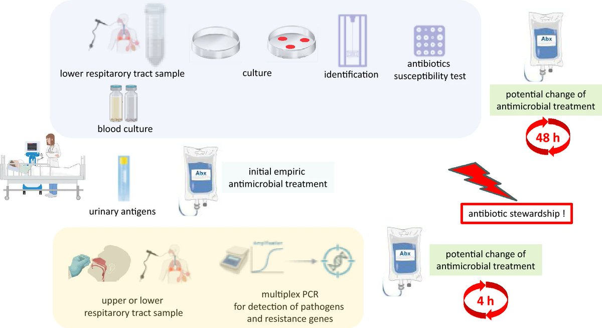 Antibiotic Steward Bassam Ghanem 🅱️C🆔🅿️🌟 tweet media