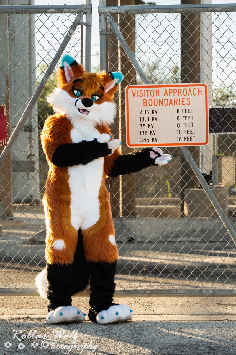 Autumn 🦊🔜FWA tweet media