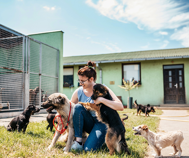 Merck Veterinary Manual tweet media