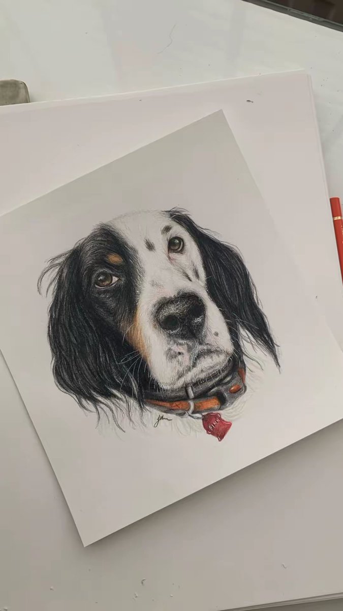 youreyesonlyaad's tweet photo. By some miracle, 5 years later I’m back on here with my pet portraits again. 

Formerly known as youreyesonlyaad, I’m back with my new shop, Love Lucy, still doing the pet portraits you know and love!🤍

I doubt many will see this, but any OGs, say hi!❤️ https://t.co/SuXAcogWWZ