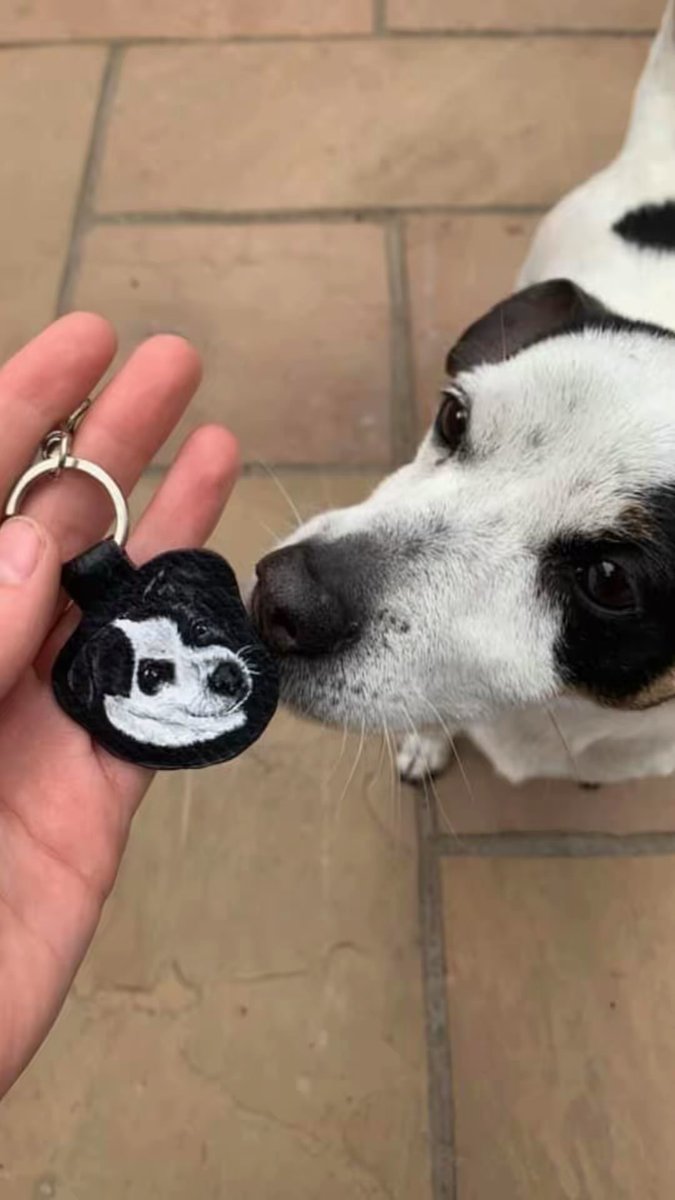 youreyesonlyaad's tweet photo. By some miracle, 5 years later I’m back on here with my pet portraits again. 

Formerly known as youreyesonlyaad, I’m back with my new shop, Love Lucy, still doing the pet portraits you know and love!🤍

I doubt many will see this, but any OGs, say hi!❤️ https://t.co/SuXAcogWWZ