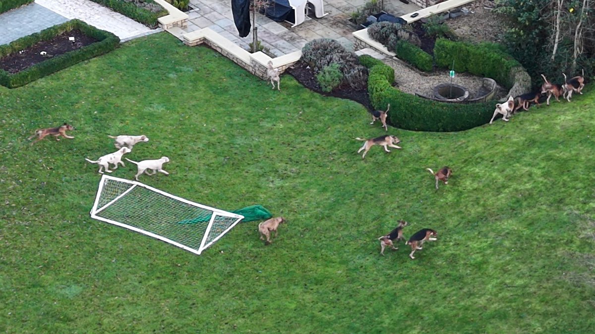 This was the Medip Farmers on the 20/12/25 following a trail.  Seems unlikely....

Photo Mendip Sabs.