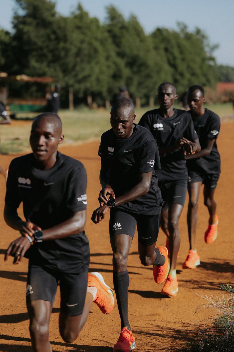 dsm-firmenich Running Team tweet media