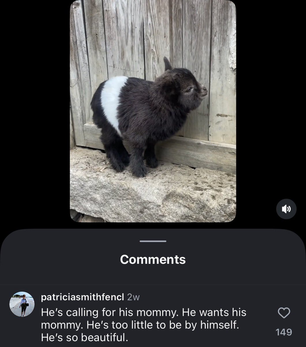 sh44sti's tweet image. he’s too little to be by himself