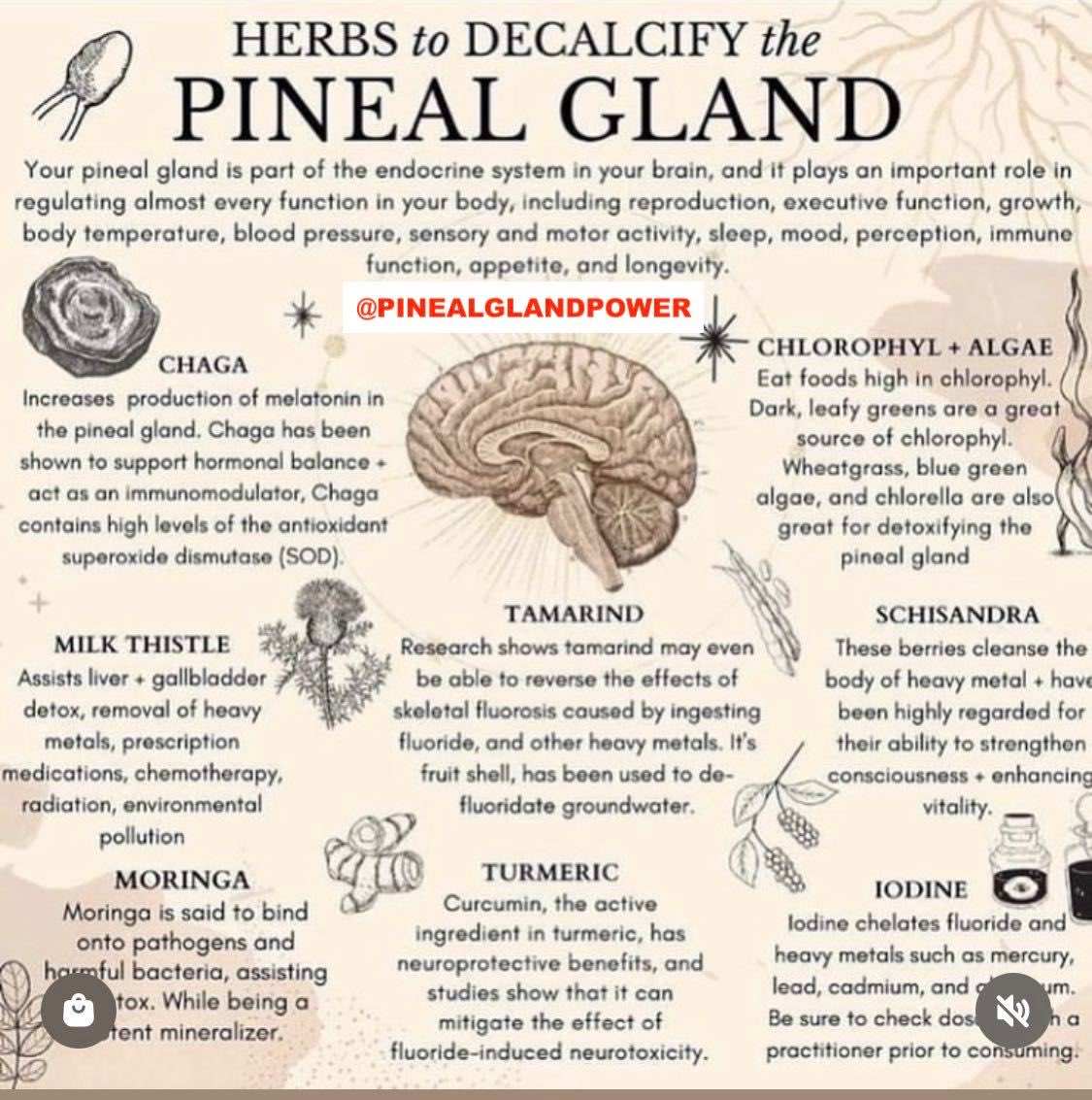 <a href="/carrie_madej/">Carrie Madej</a> Helps ya see (3rd eye) better too.