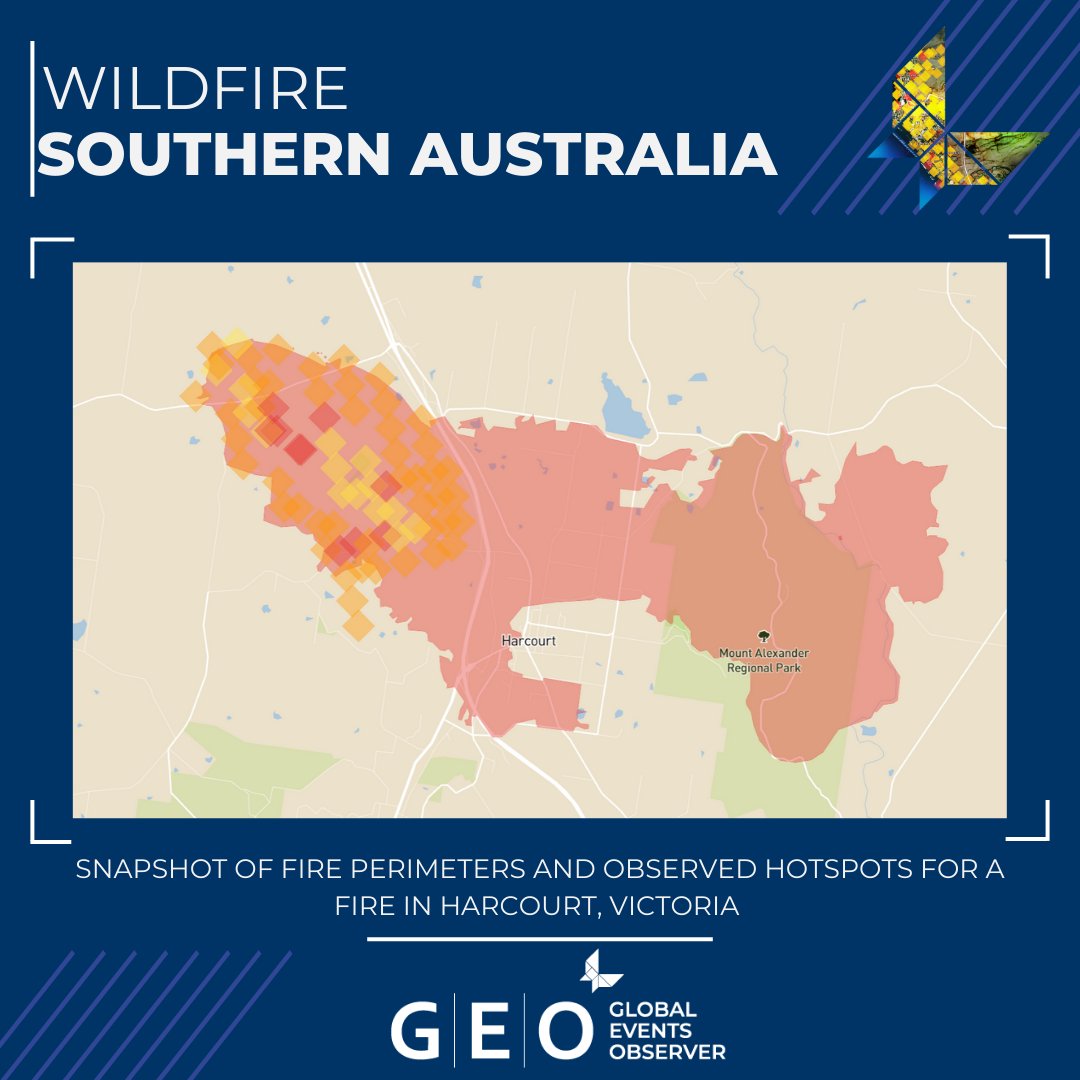 McKenzie Intelligence Services (MIS) tweet media
