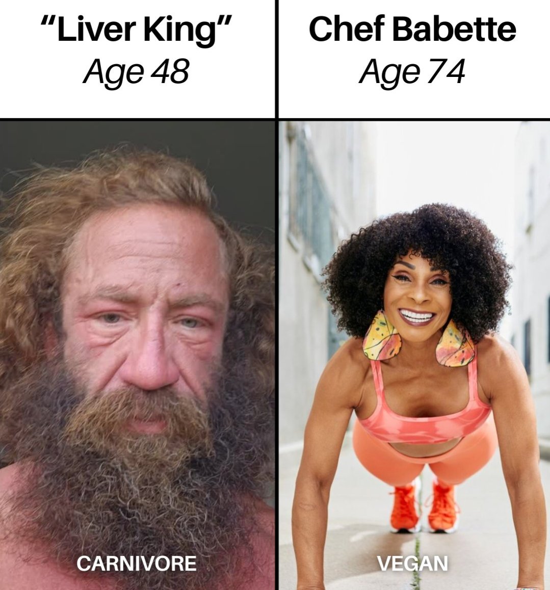 Fatcows2's tweet image. Eating Animals VS Eating Plants 

Choose Wisely 🌱