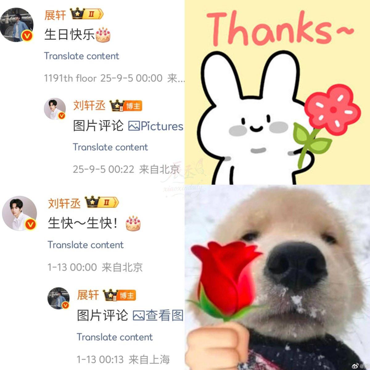 xiaoxindaily's tweet photo. It's finally complete 🦊🐰💖💚

#ZhanXuan #LiuXuancheng 
#Happy29thZhanXuanDay https://t.co/kDhNFWCUPa