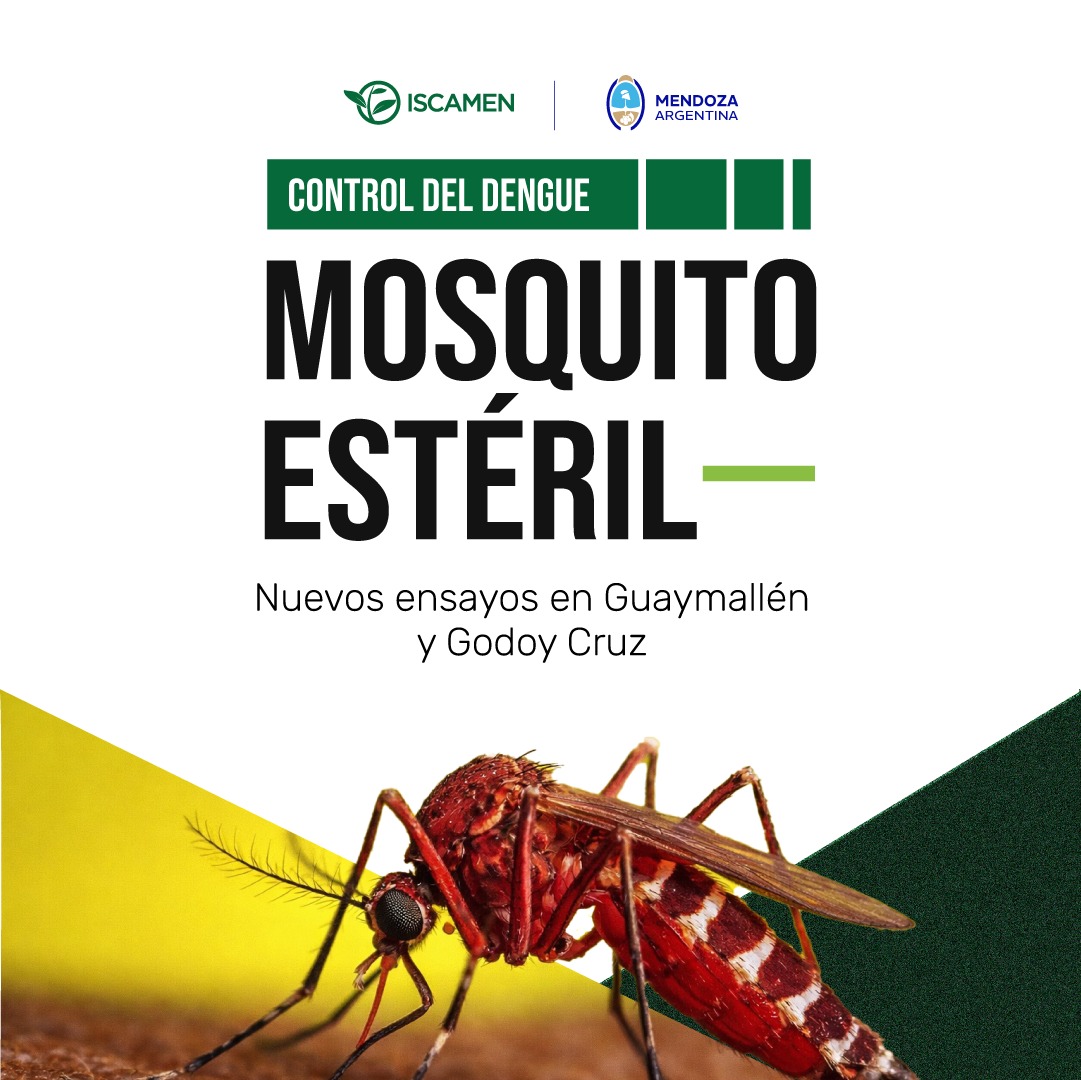 José Orts tweet media