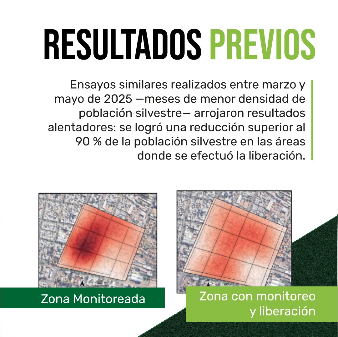 José Orts tweet media