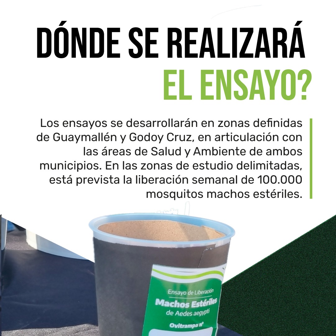 José Orts tweet media