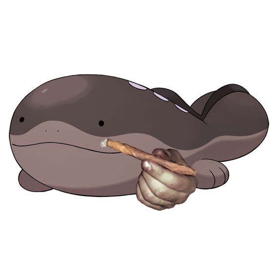mudwhale's tweet photo. *passes you a fire mud whale monday*

@noisebeneath
@sweetpilll
@redsun405
@ictFWR
@Cissne_jpn
@tigersjaw
@ourbandlakes
@youthfountain_
@PONYtoronto
@JoyceManor
@tiger_really
@callingallcaps
@vialband
@Glad_eee
@whitelandsband
@johncraigie
@TorchedTX

https://t.co/IiEezuvfzw https://t.co/bzHL1JSsI7
