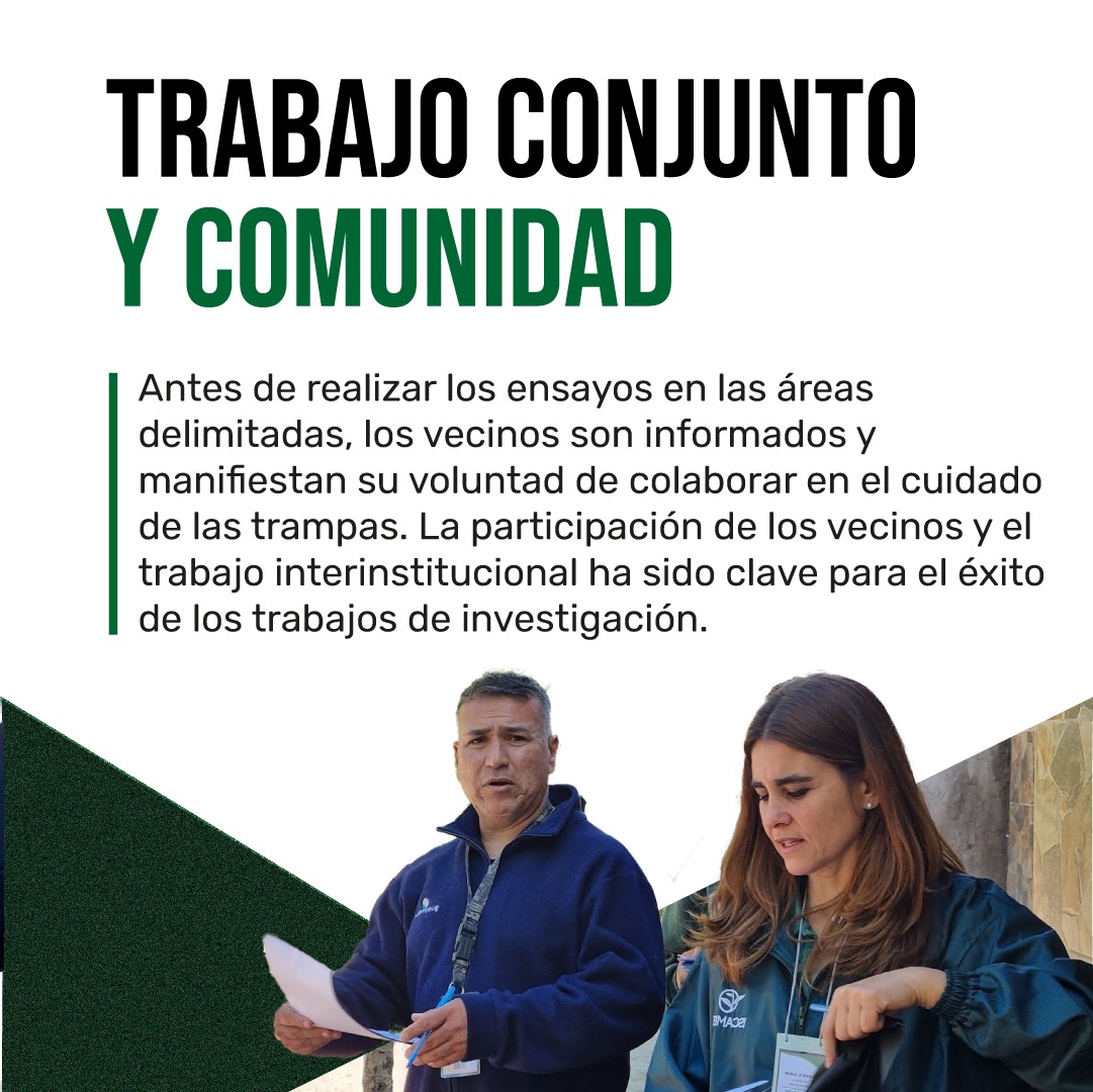 José Orts tweet media