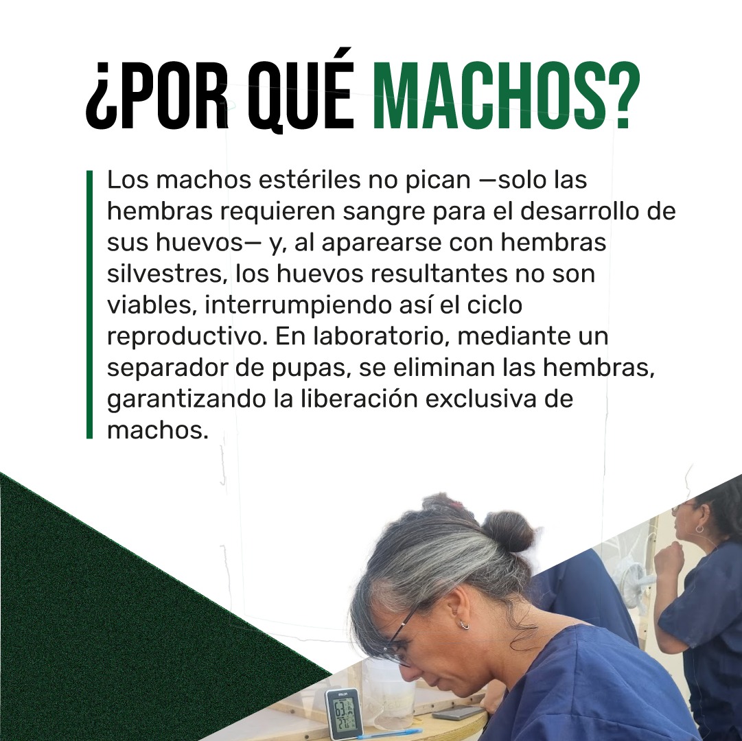 José Orts tweet media