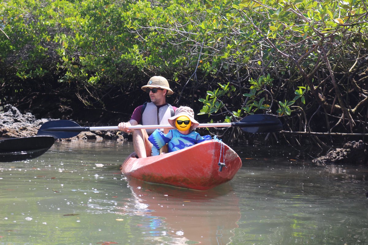 Dennis V. Perepelitsa 🇺🇦🇺🇲 tweet media