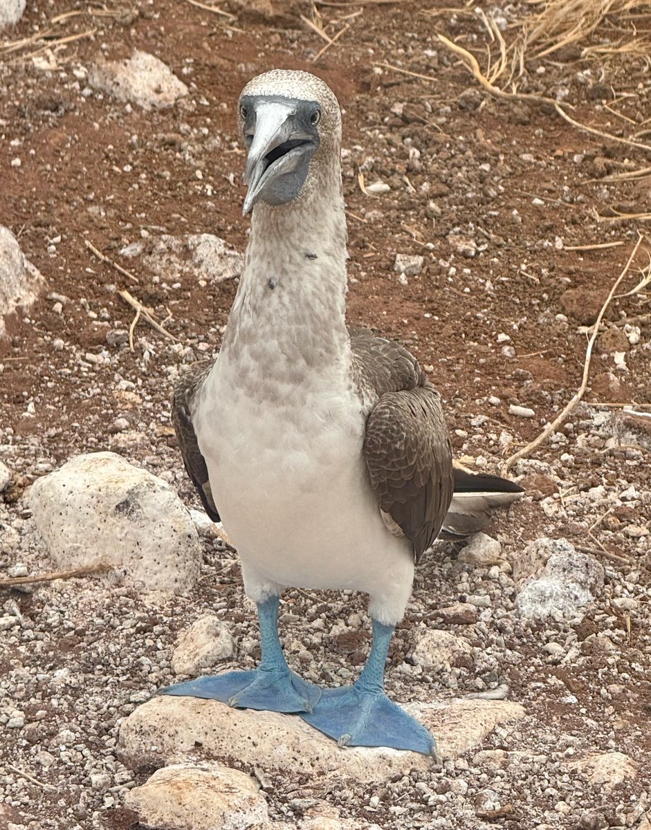 Dennis V. Perepelitsa 🇺🇦🇺🇲 tweet media