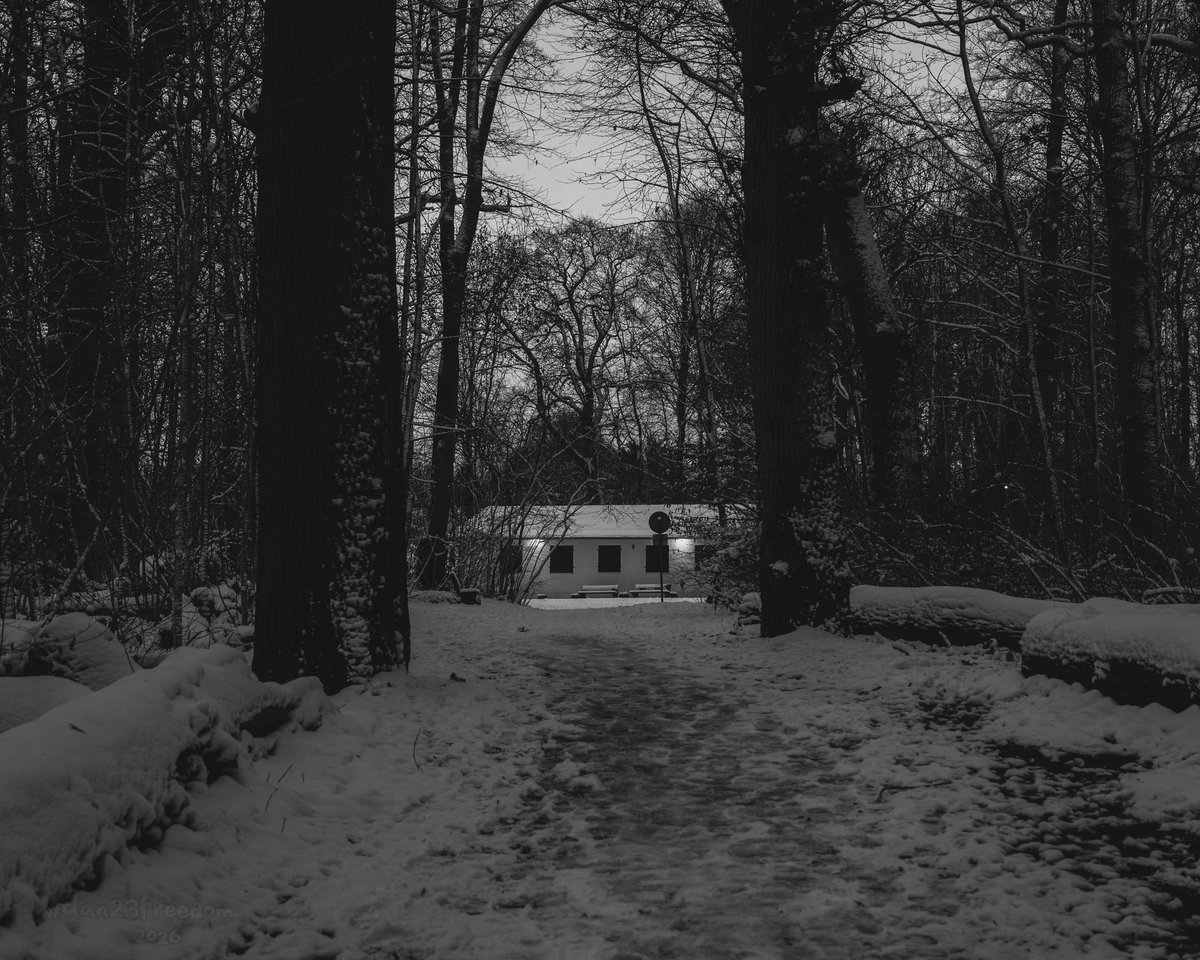 dan23freedom's tweet photo. 🏷️ Secrets Behind Polite Light
·
📷 1/30 sec at f/6,3, ISO 800, 50 mm standard 24-50mm —👤 #dan23freedom
#️⃣ #Photography #BlackAndWhite #Urban #Nature #NatureWalk #Winter #Germany
#familiarplaces #duskphotography #snowpath #quietmystery #houseportrait #urbanedge #moodyphoto https://t.co/xEUkPt0Bi4
