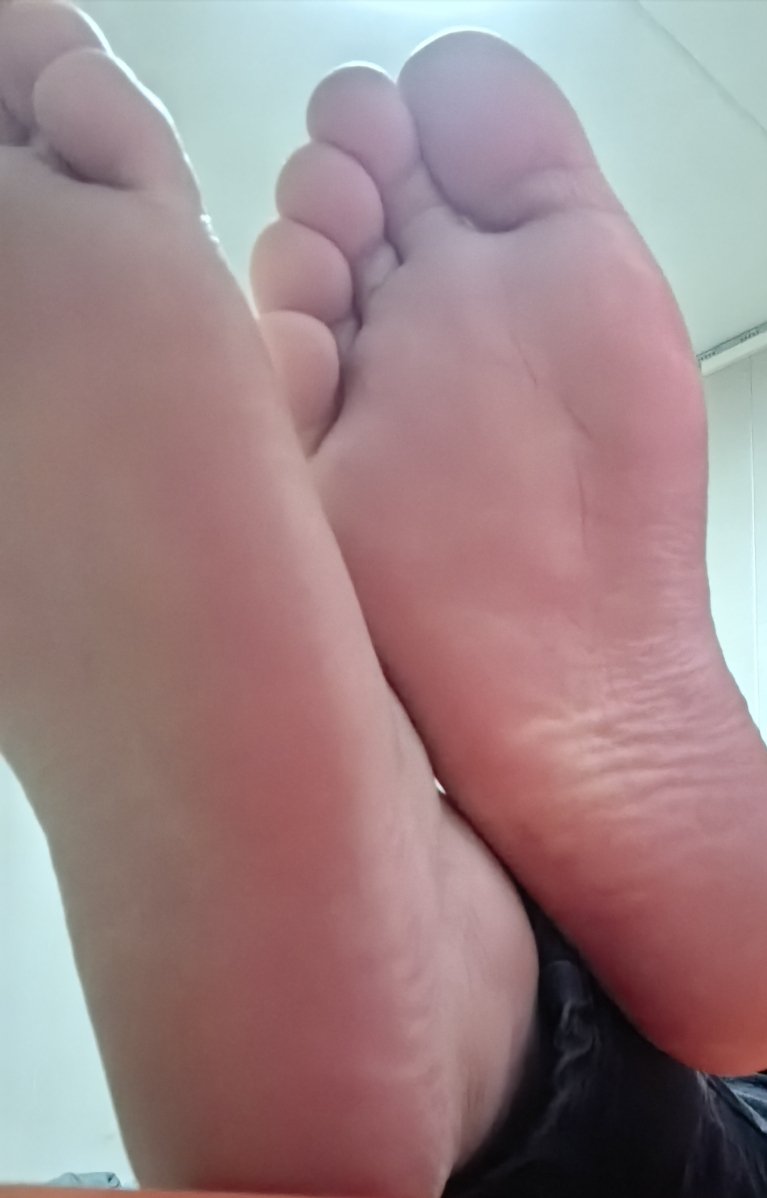 来舔