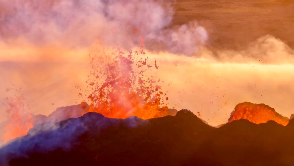 Rachel Suzanne Tien Wood tweet media