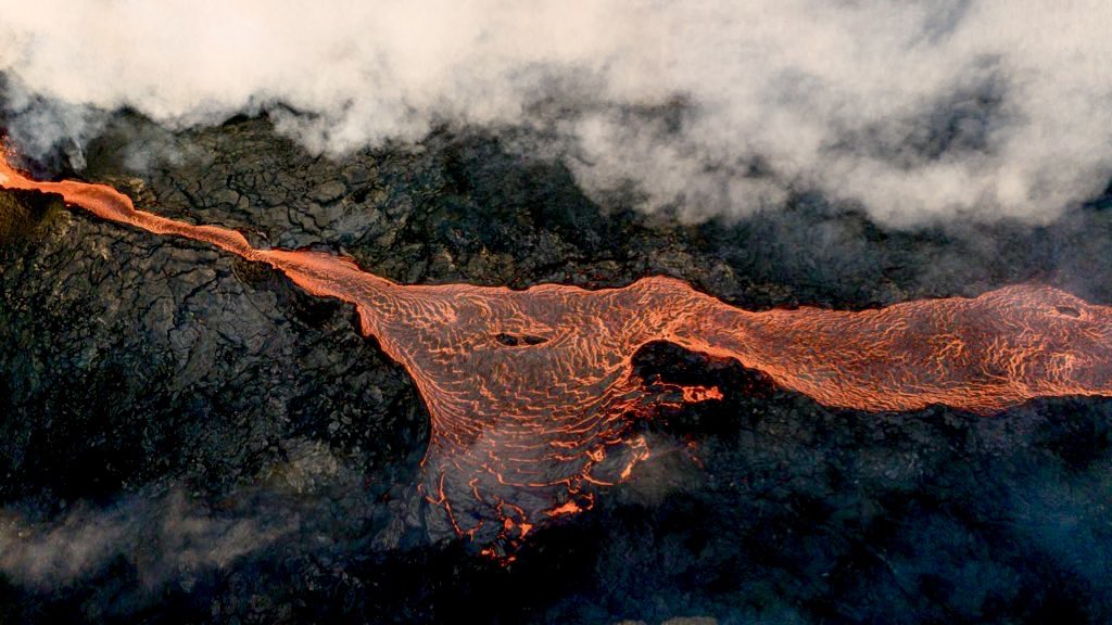 Rachel Suzanne Tien Wood tweet media